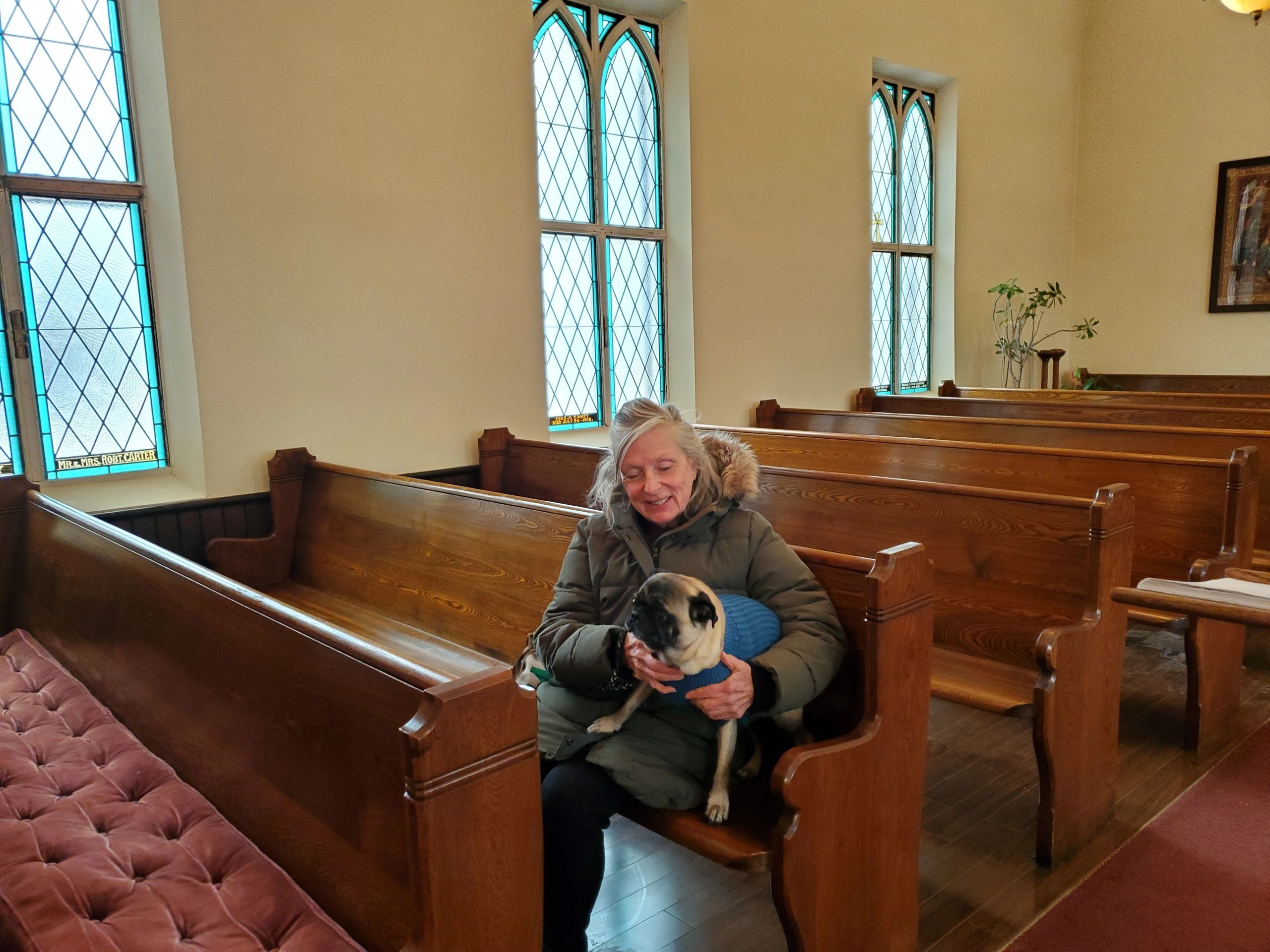 Blessing of the Animals 2
