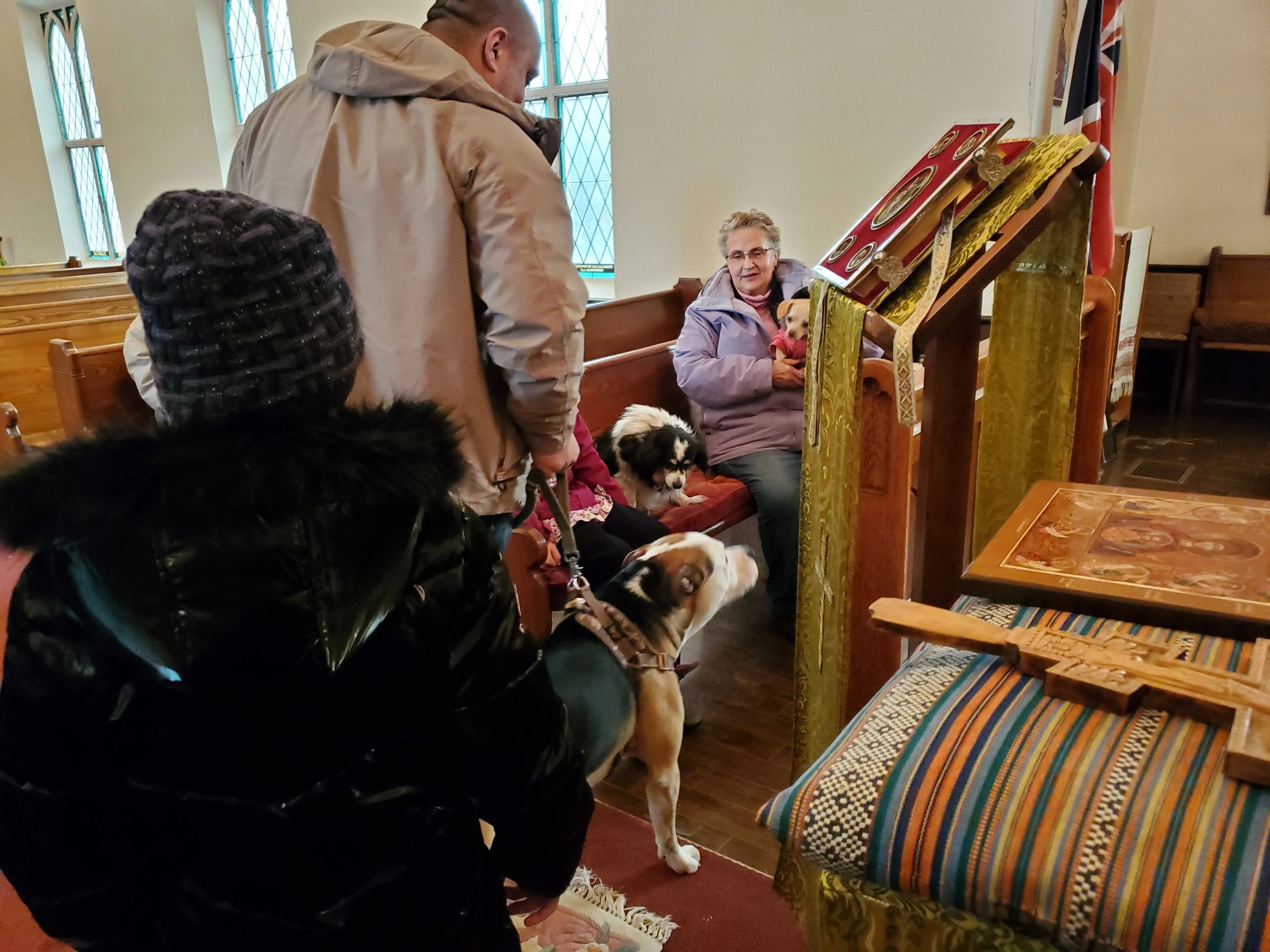 Blessing of the Animals 4